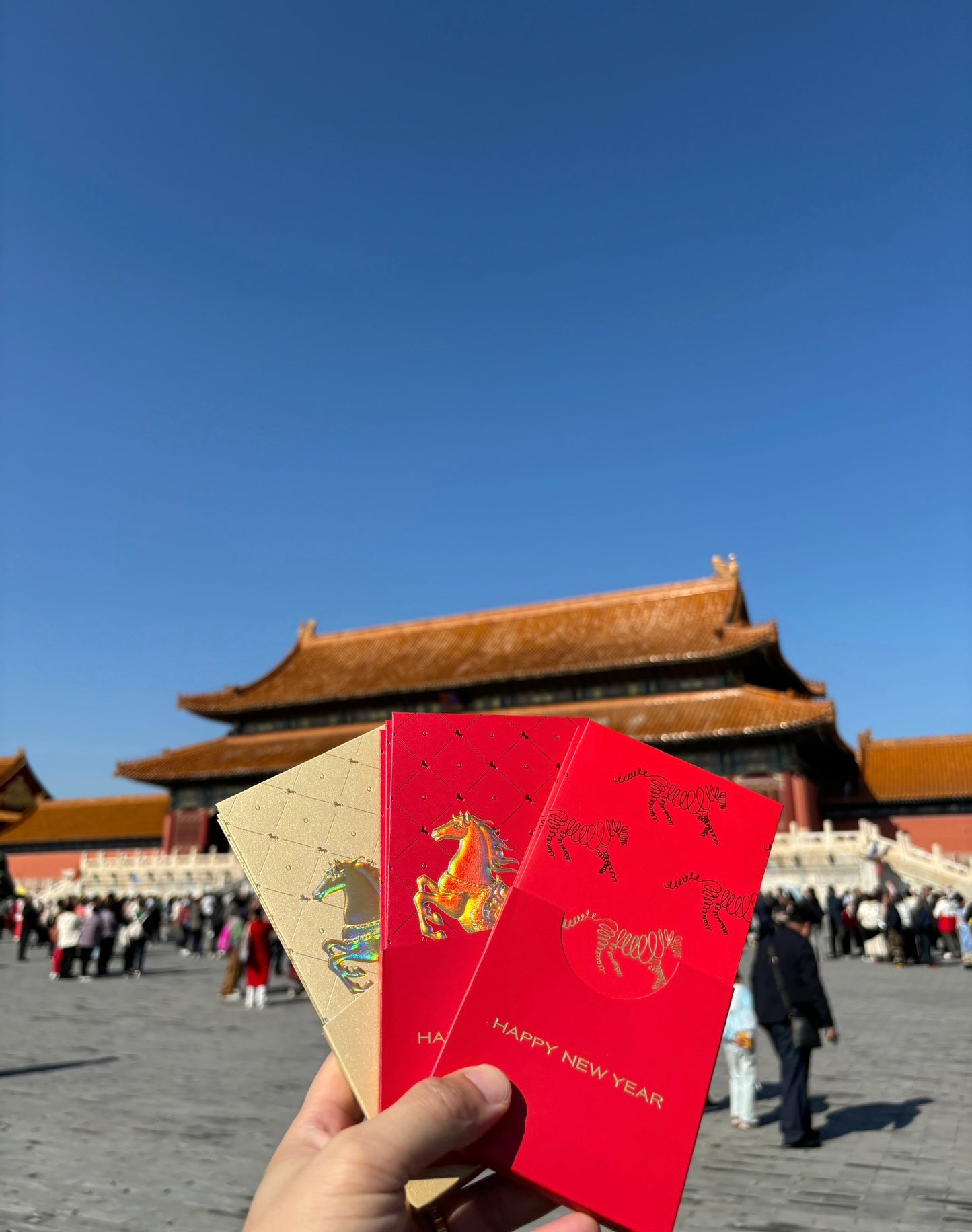 Year of the Horse Red Envelopes: Gold Foil Lucky Money Gift (Pack of 8pcs) can be customized (Add Logo & Text)