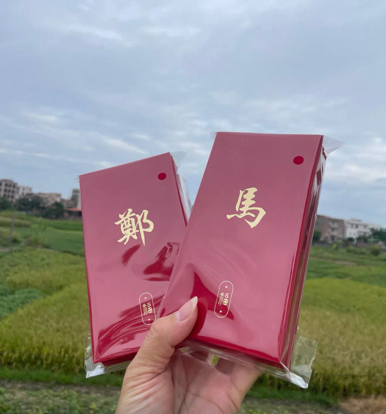 Custom Hong Kong Surname Pack of 30pcs 福 Red Envelopes Chinese New Year Lucky Money Gift Packets